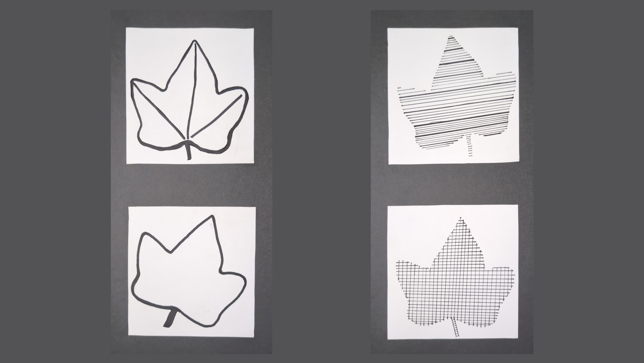 GRAPHIC DESIGN STUDY