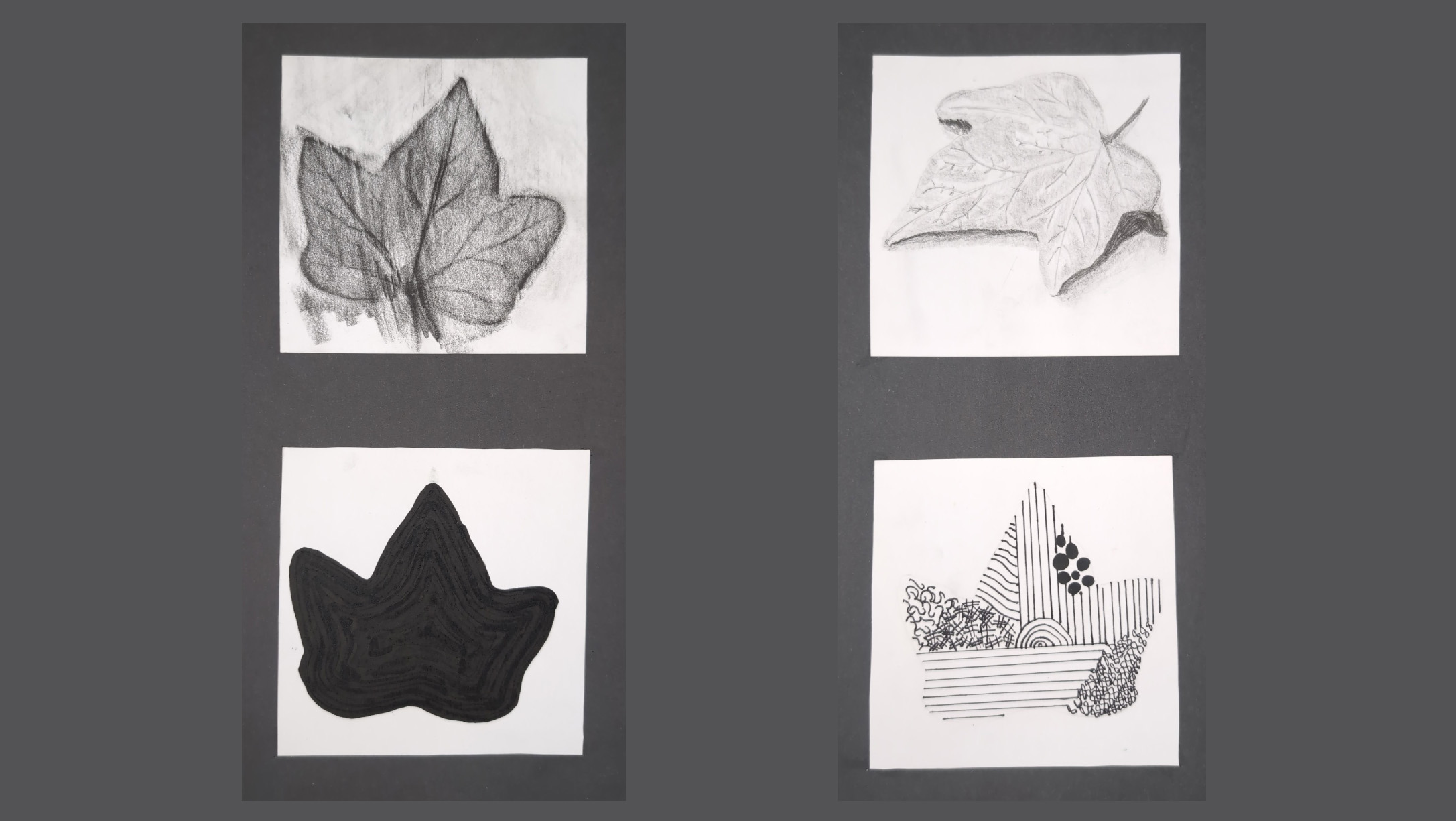 GRAPHIC DESIGN STUDY