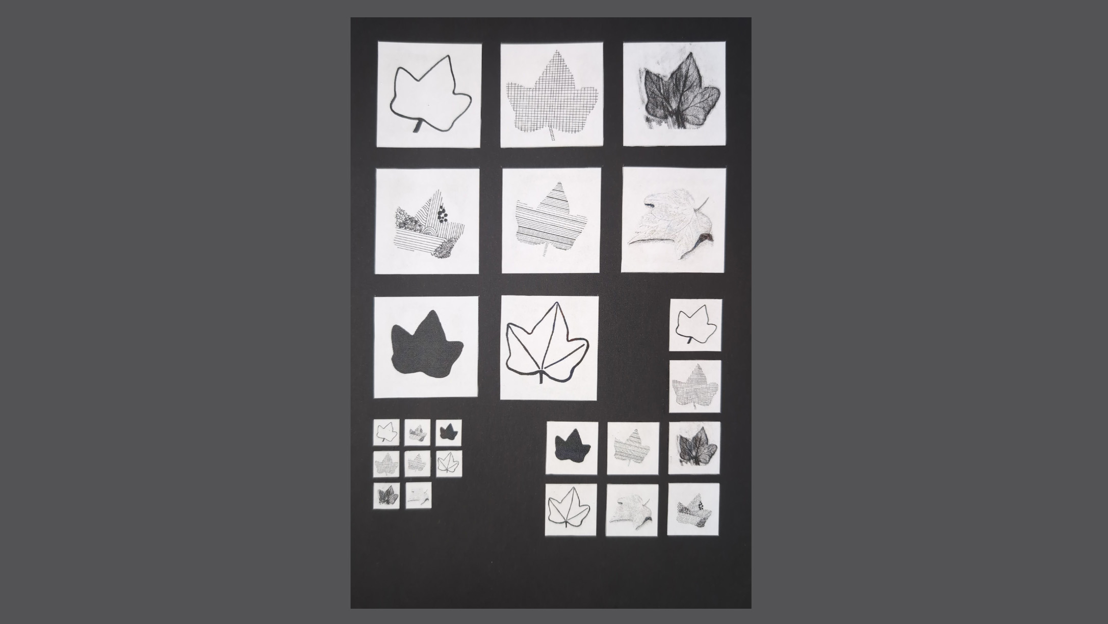 GRAPHIC DESIGN STUDY